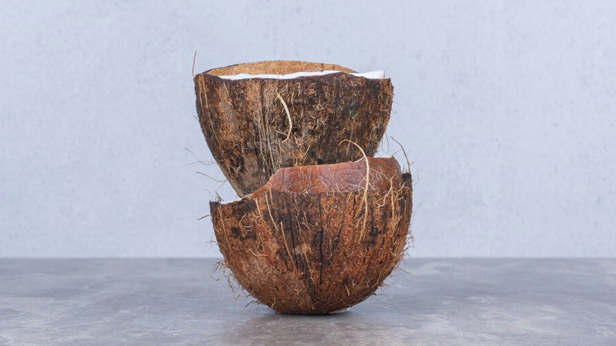 coconut-shell
