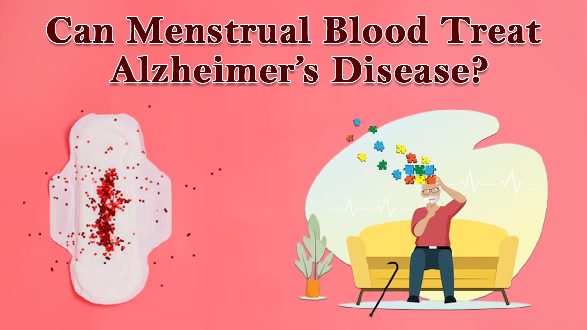 Can Menstrual Blood Treat Alzheimer’s Disease? Study Reveals How Stem Cells’ Regenerative Ability Can Help