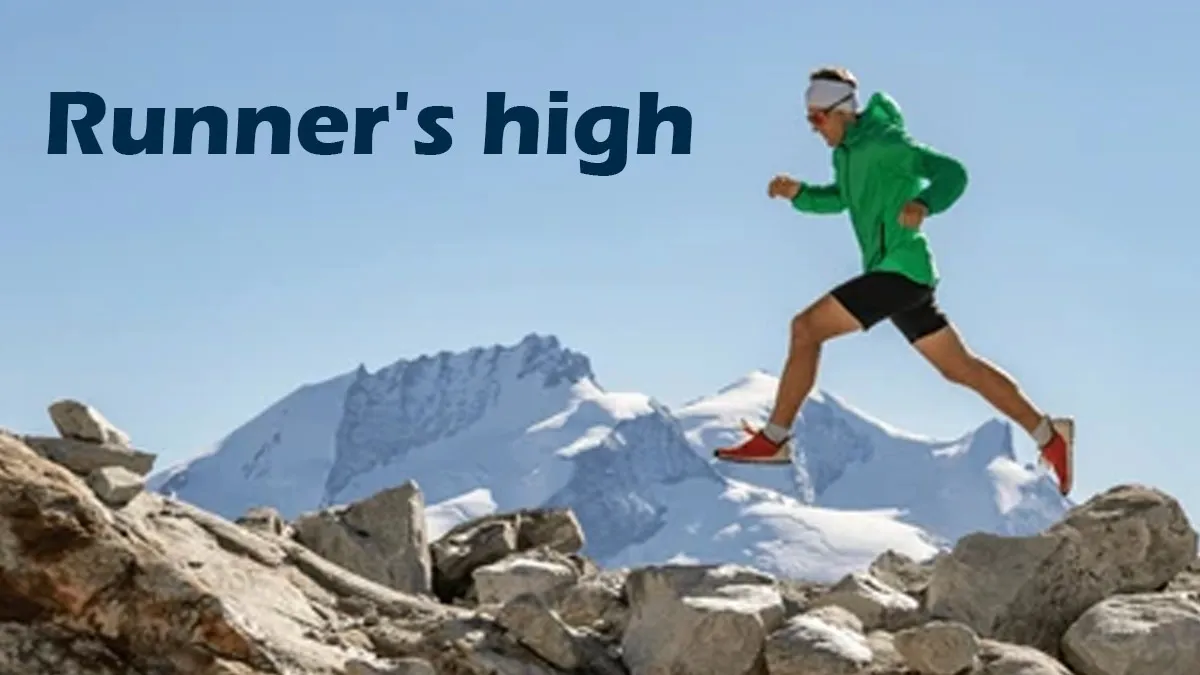 Exploring Runner’s High: How the Body and Brain Respond to Running?