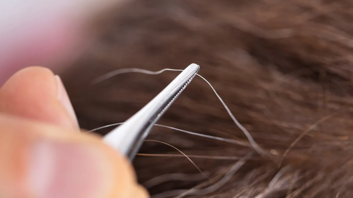 Do Plucking Out Grey Hair Lead More To Grow? We Asked Expert