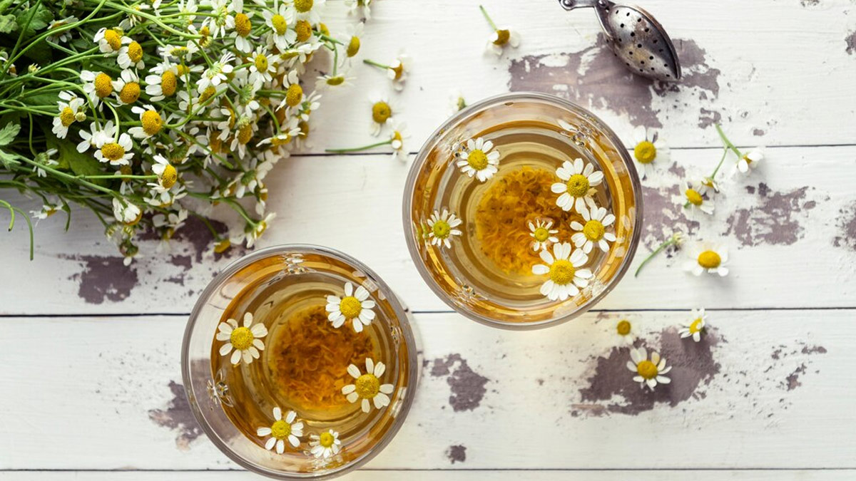 chamomile-tea