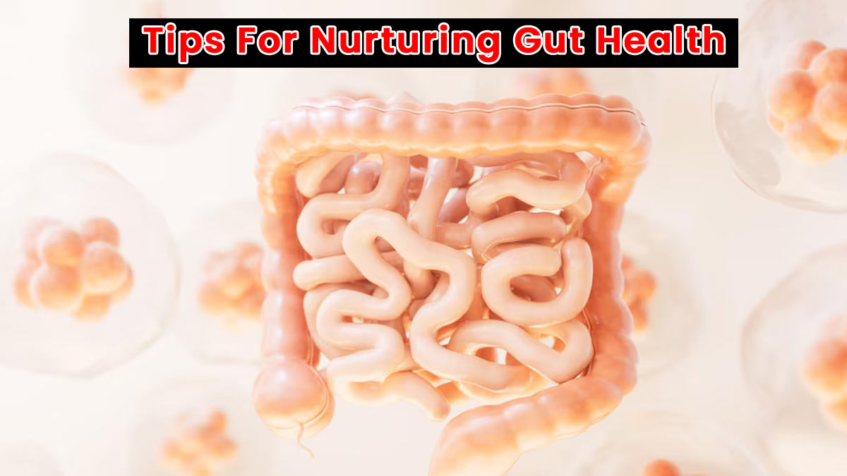 Cure to acidity problems: expert advice to feed your intestinal health with probiotics and prebiotics