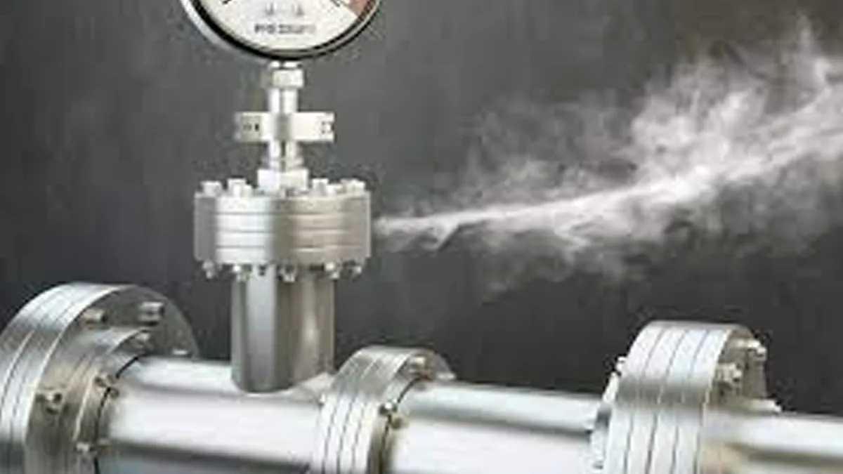 Gas Leak at Karwar Plant Leaves 19 Hospitalized; Health Risks Of Gas Inhalation