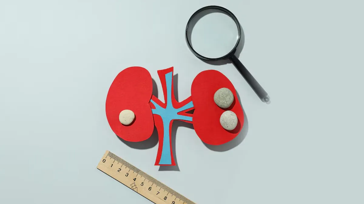 Kidney Failure And Stroke: Understanding The Connection And Risks