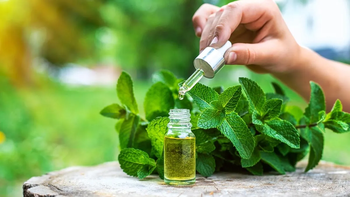 Peppermint Oil For Irritable Bowel Syndrome: Here's How It Helps And How To Use It
