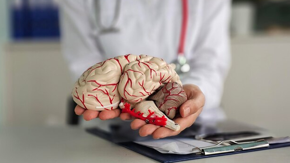 dementia-risk-and-green-tea