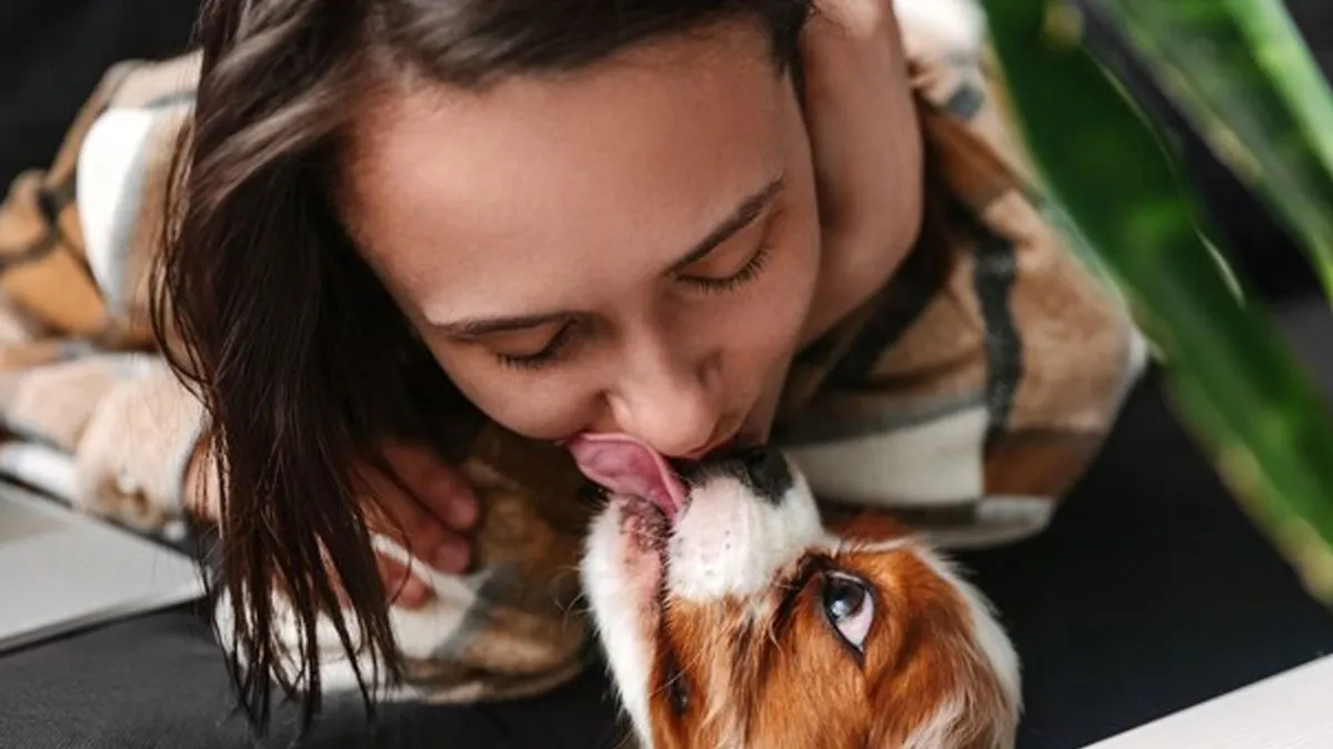 Does Your Dog Lick Your Face Too Often? Here's Why This Should Stop