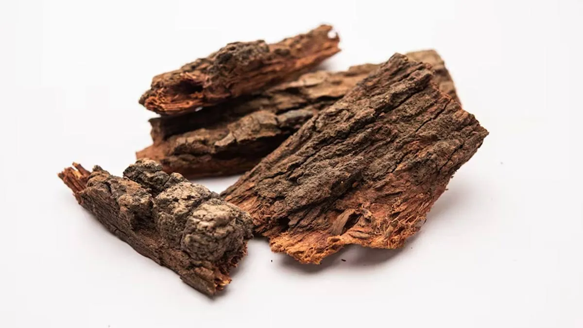 Benefits Of Drinking Vijaysar Wood Water And How To Make It