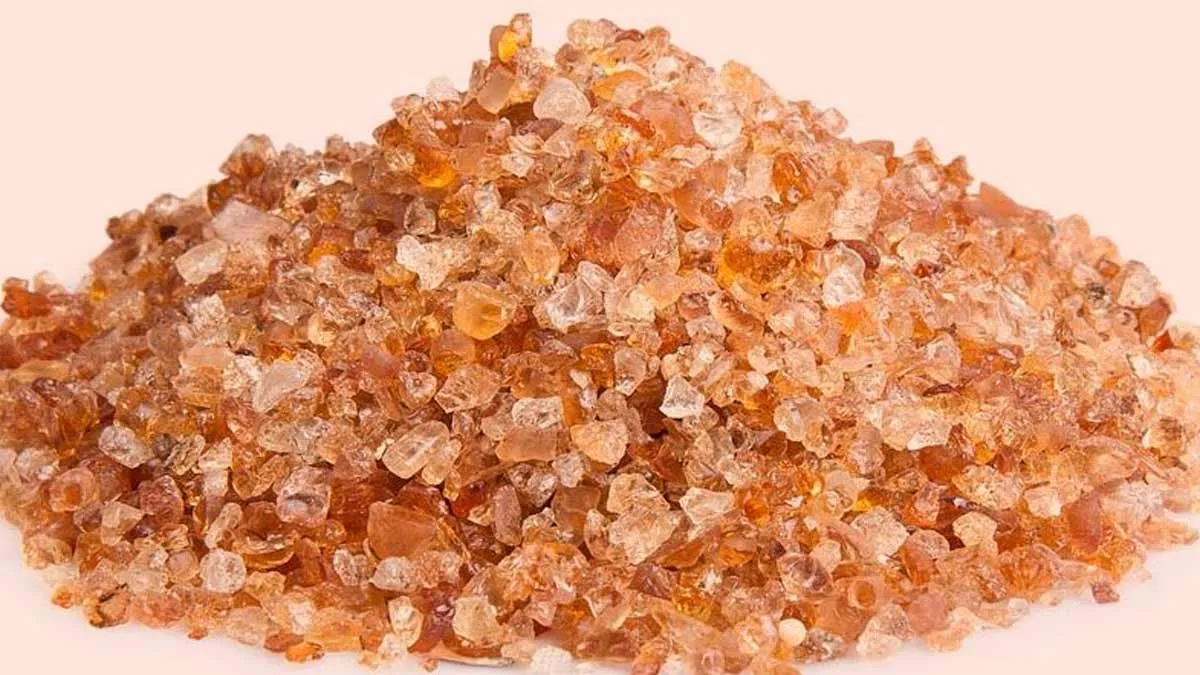 Craving Gond Ladoos This Winter? Learn Major Health Benefits