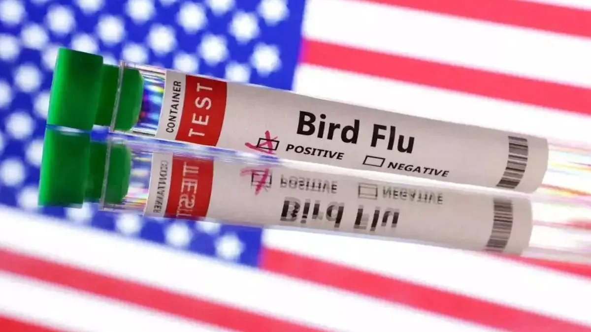 H5N1 Alert: US Health Department Accelerates New Bird Flu Vaccine Development Amid Pandemic Scare