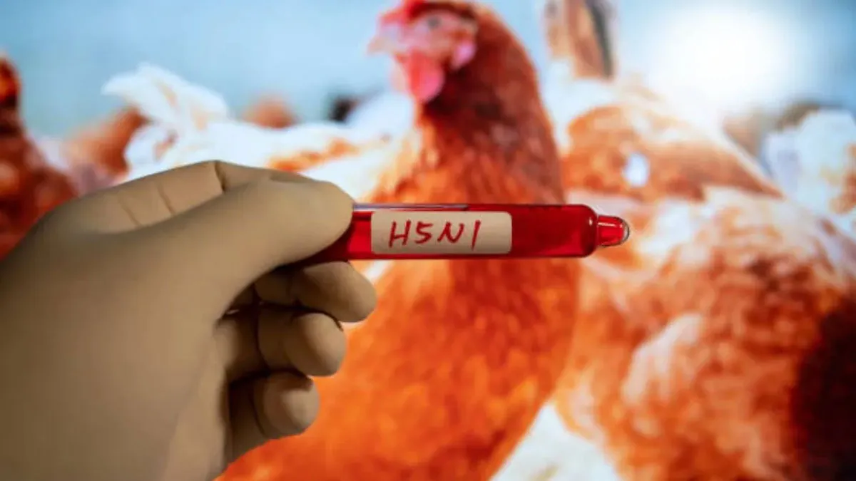 California Reports New Human Bird Flu Case: CDC Intensifies Response Amid Growing Concerns