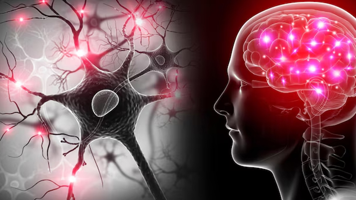 ayurvedic-cure-for-neurodegenerative-disease