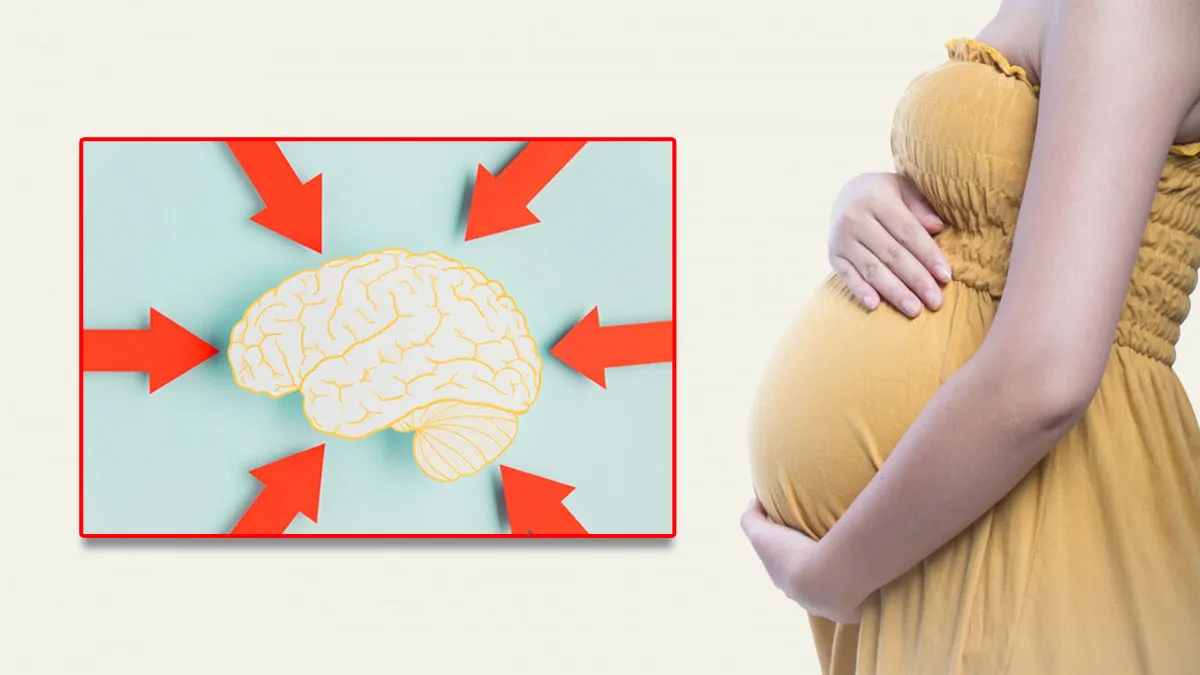 Can Pregnancy Change How Your Brain Works? Study Uncovers