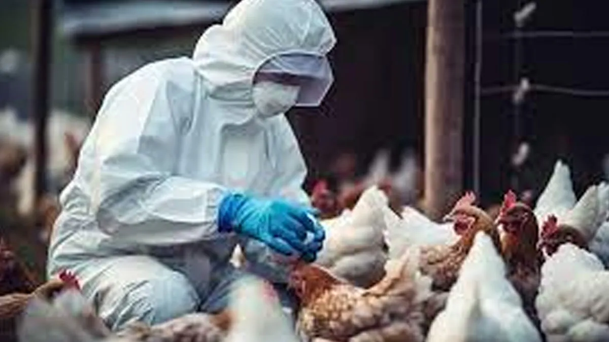 CDC Raises Alarm: Nine H5N1 Bird Flu Mutations Pose Pandemic Threat To Humans