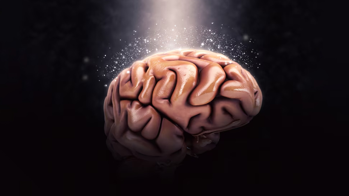 how-does-pregnancy-alter-grey-matter