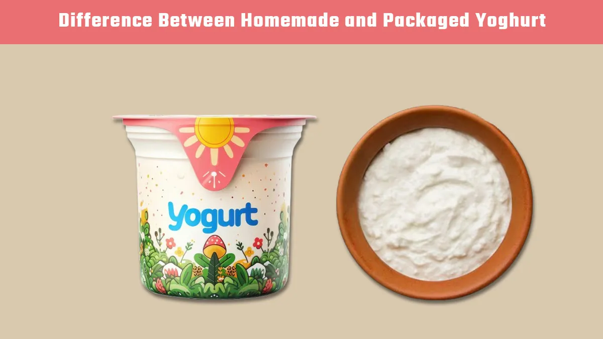 Are Packaged Yoghurt Good? Expert Shares Difference Between Homemade and Dairy Products