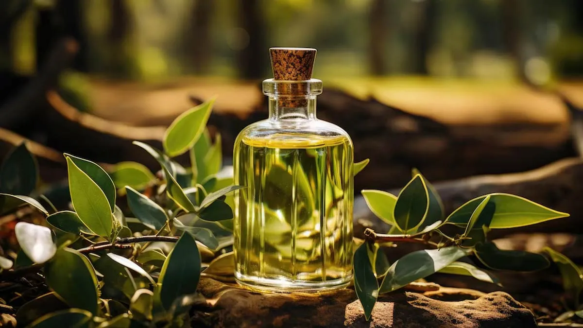 Eucalyptus Oil Benefits: Learn How This Oil Helps In Providing Respiratory Relief