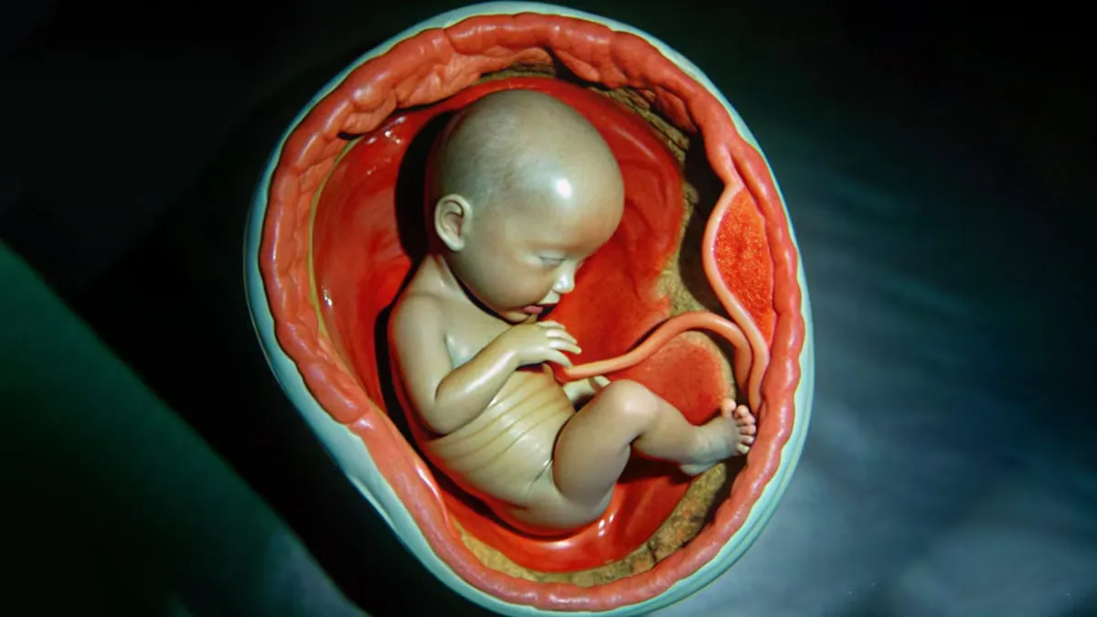 Pregnancy Complication During Delivery: Expert Explains Placenta Accreta, Its Symptoms, Types, Diagnosis, And Treatment