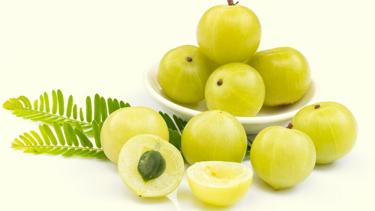 3-childrens-appetite