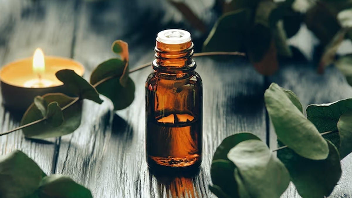 eucalyptus-oil