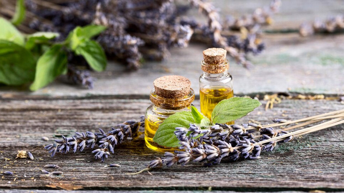 lavender-oil