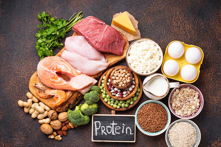 protein-food