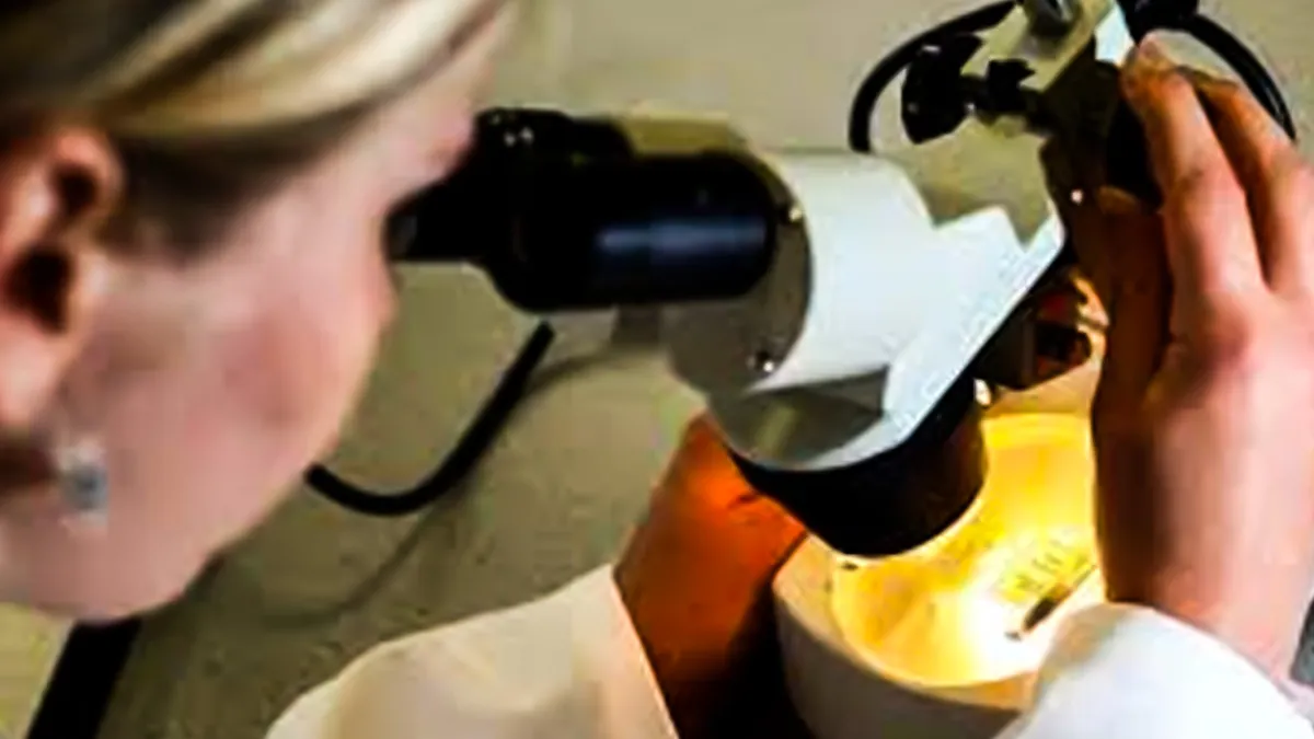 Breakthrough Test May Predict Which IBD Patients Face Higher Colorectal Cancer Risk