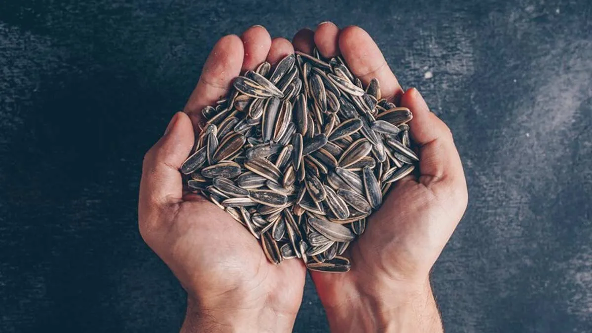 8 Health Benefits Of Having Sunflower Seeds Everyday