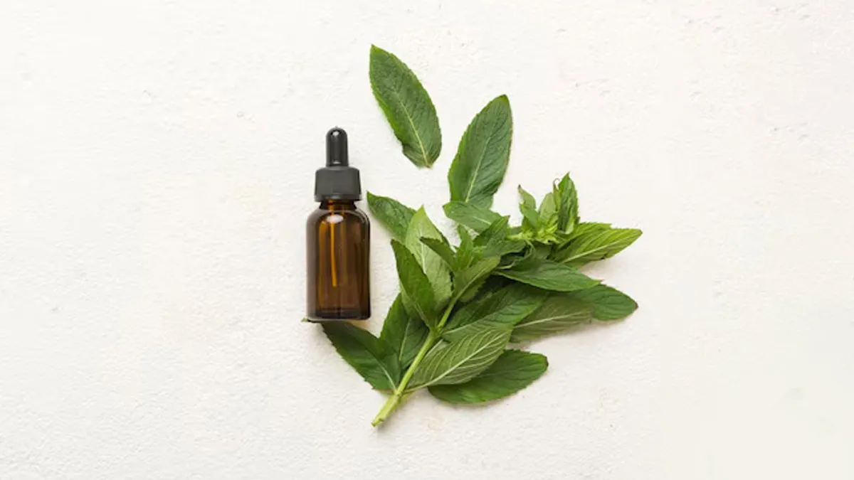 How Does Tea Tree Oil Help With Acne and Other Infections?