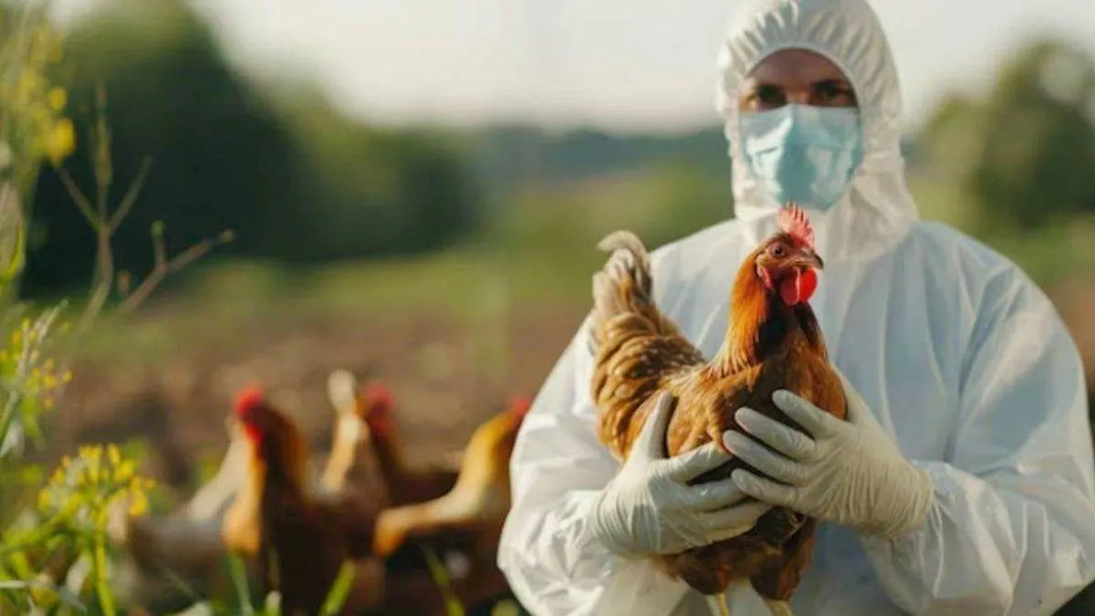 Bird Flu Alert: Maharashtra Village and Nearby Areas Declared High-Risk Zone To Combat Spread