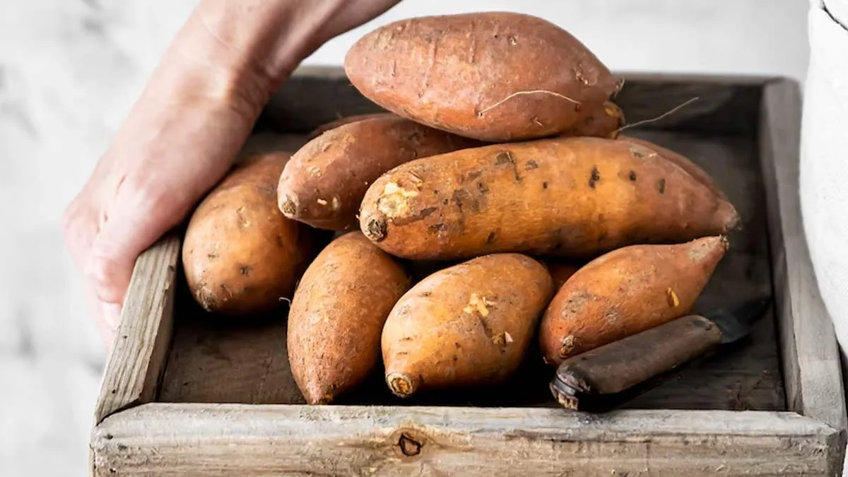 Sweet Potato For Vaginal Health: Gynaecologist Explains Benefits