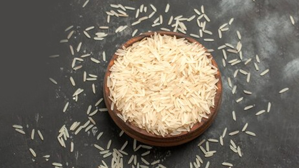 1 - 2025-02-06T144250.102