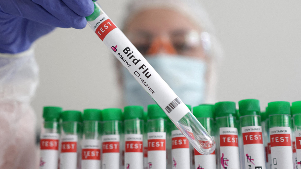 1-maharashtra-bird-flu