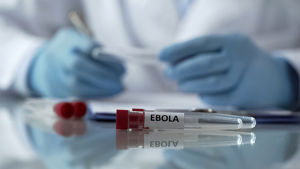 2-ebola (2)