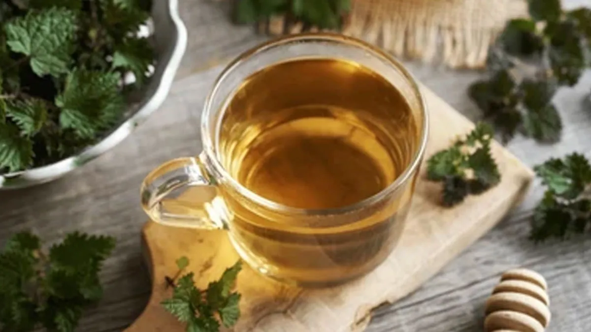 From Joint Health to Regulating Blood Sugar Levels: Health Benefits of Stinging Nettle You Should Know