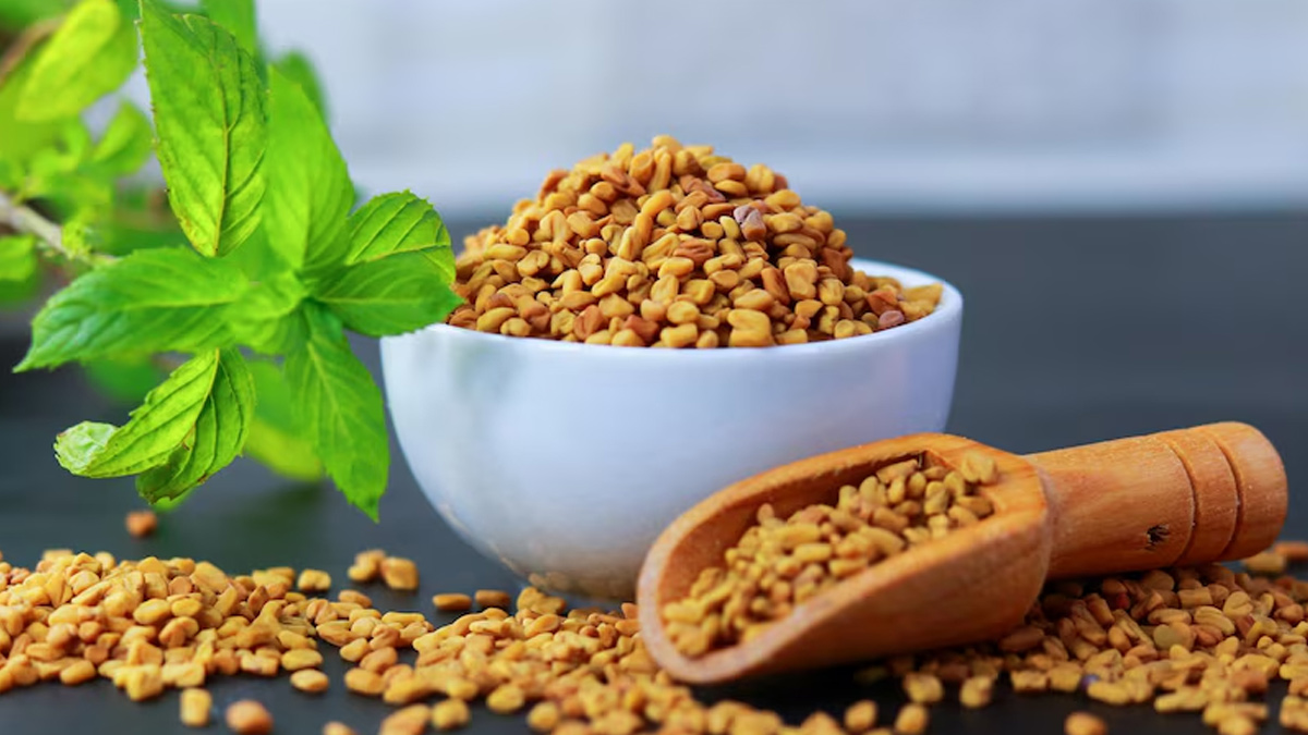 mn-fenugreek-seeds