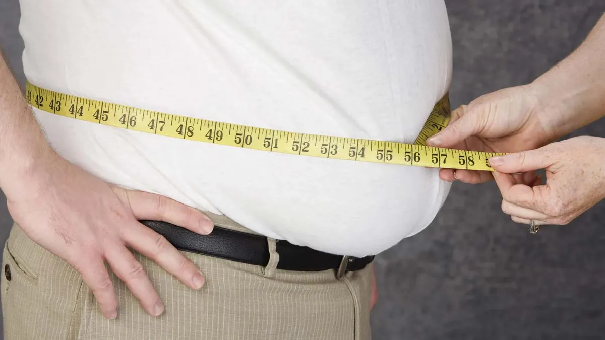 Study Mapping Fat Cells May Lead To Personalised Obesity Medicine: Research