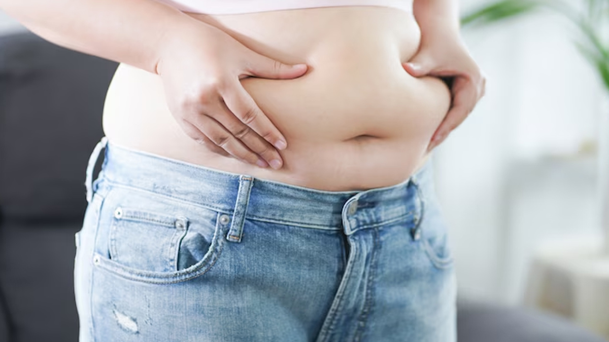 1-fat-cells