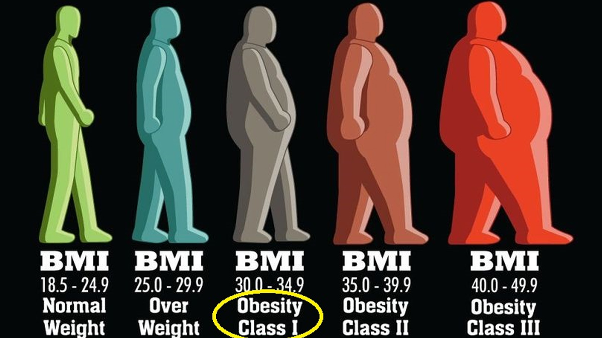 2-fat-cells