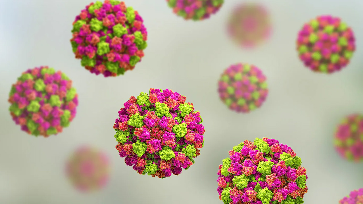 3-norovirus