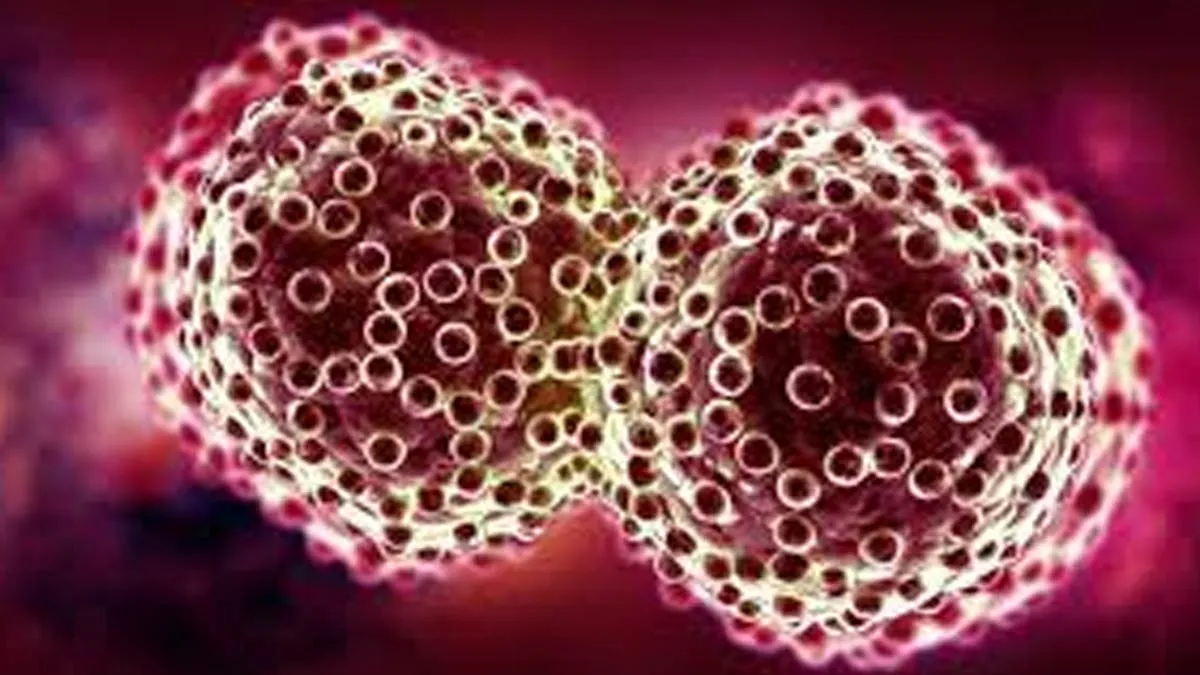 New Study Explores Role Of Immune Cells In Cancer Treatment Outcomes
