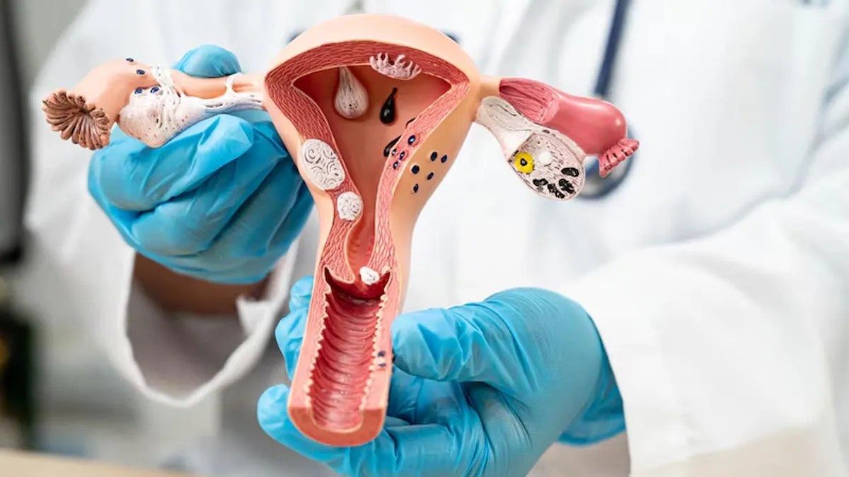 Why Is Microbiome Health Vital for Pregnancy and Menstrual Health?