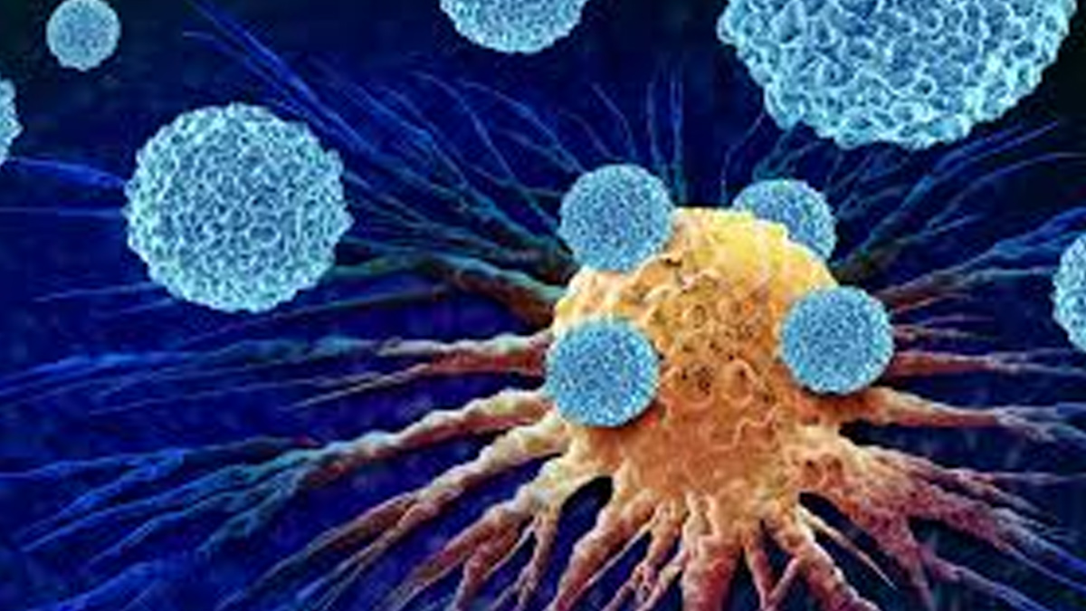 1-immune-cells