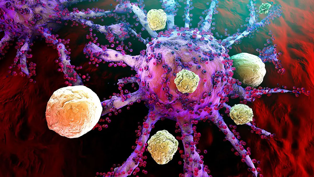 3-immune-cells