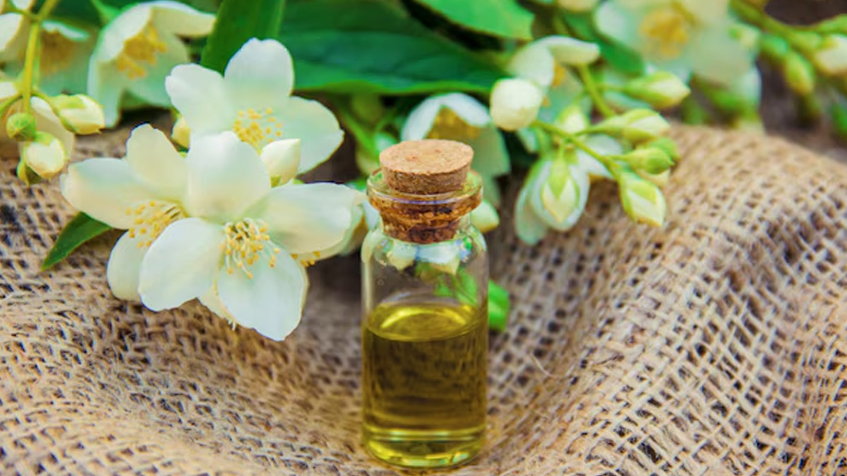 2-jasmin-oil