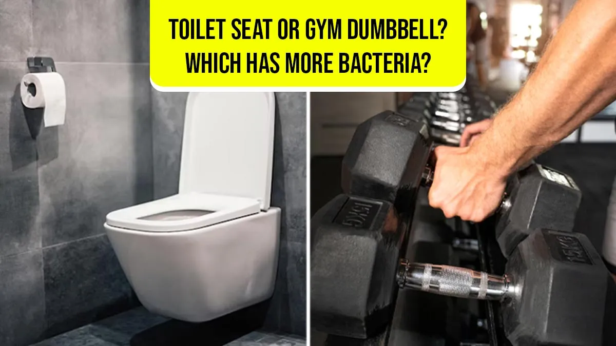 Gym or Toilet Seat: Which Is Dirtier? A Doctor Explains Which Has More Bacteria