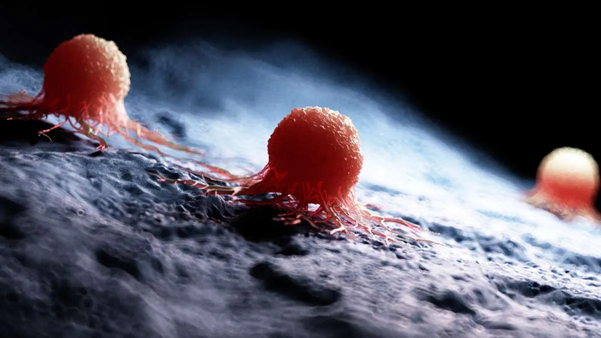 Cancer Cells And The Mystery Of Metastasis: Why Some Cancers Spread While Others Don’t