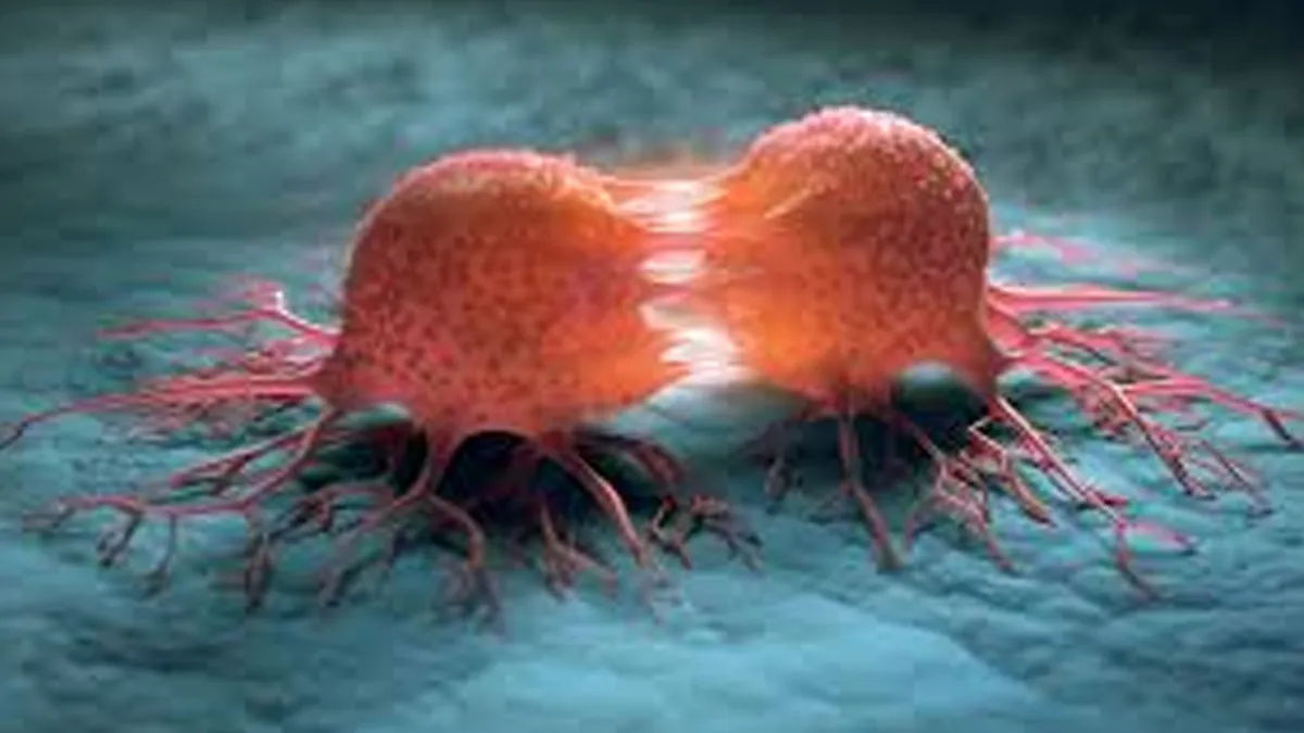 India’s Cancer Crisis: 3 in 5 Patients Die Post-Diagnosis—Why Are Women at Higher Risk?