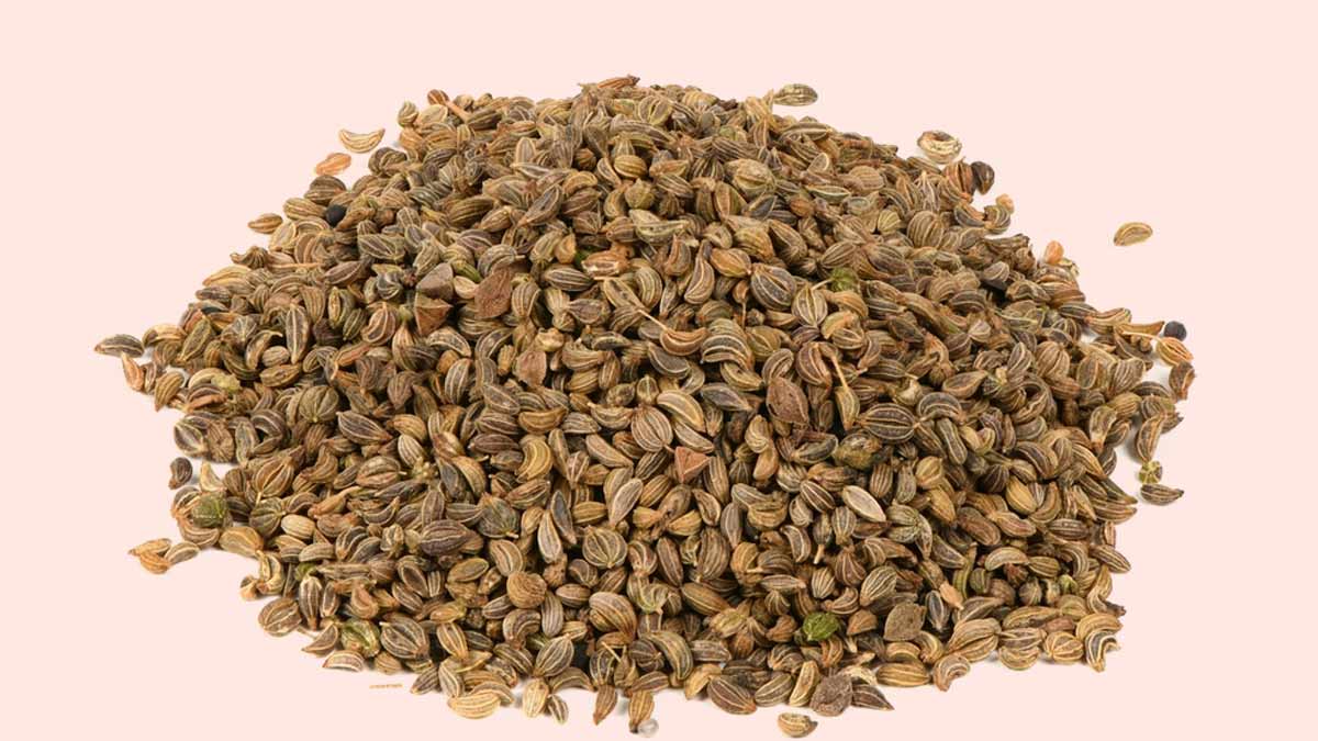 Understanding Health Benefits of Consuming Parsley Seeds