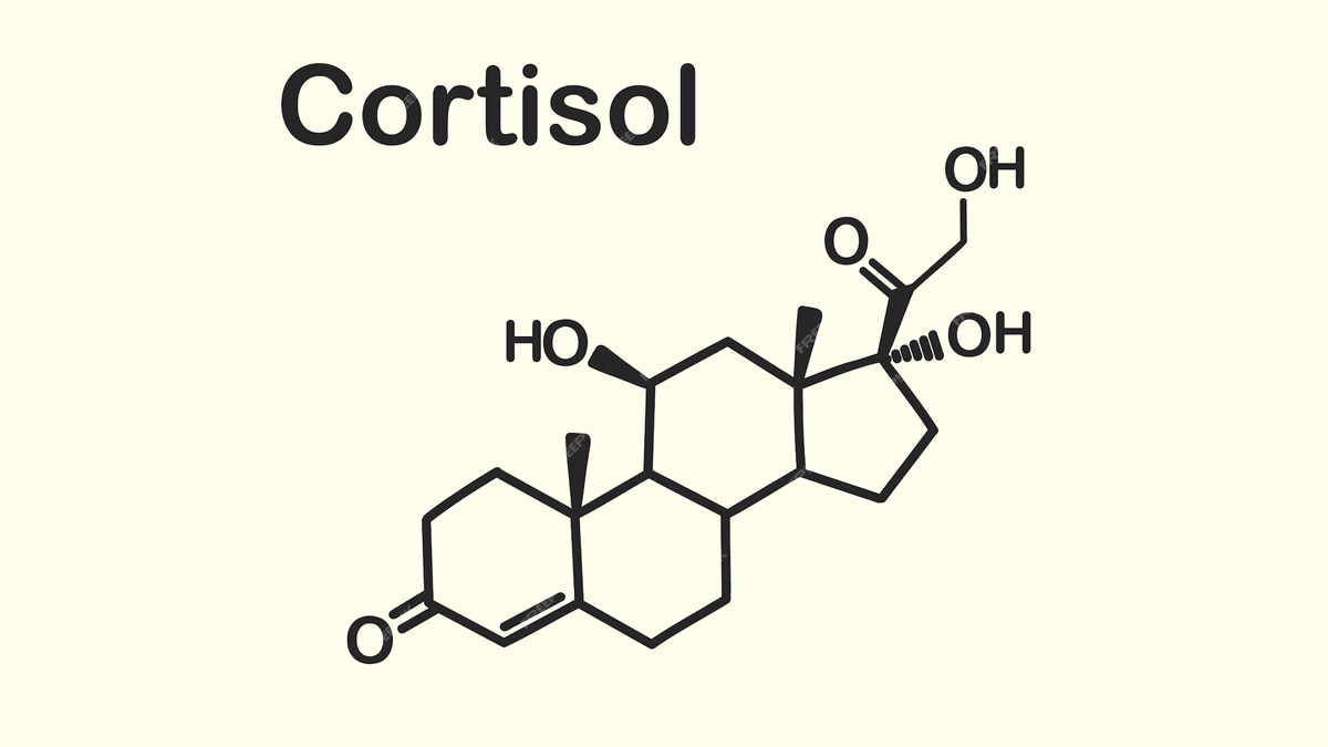 2-cortisol